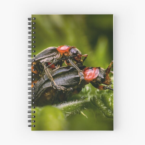 Item preview, The Encounter — Soldier Beetles Mating Up Close designed and sold by Rabee Khalil Photography.