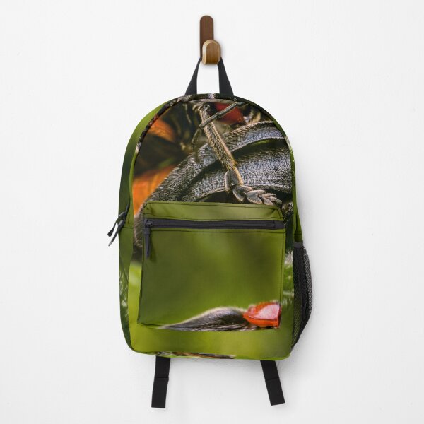 Item preview, The Encounter — Soldier Beetles Mating Up Close designed and sold by Rabee Khalil Photography.