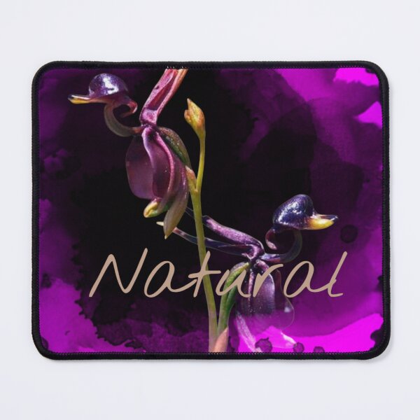 Item preview, Silk birds designed and sold by Nu Sigma 1985.