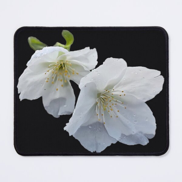 Item preview, Nature Poetry - Rain-Kissed Spring Blossoms designed and sold by Sir Martin.
