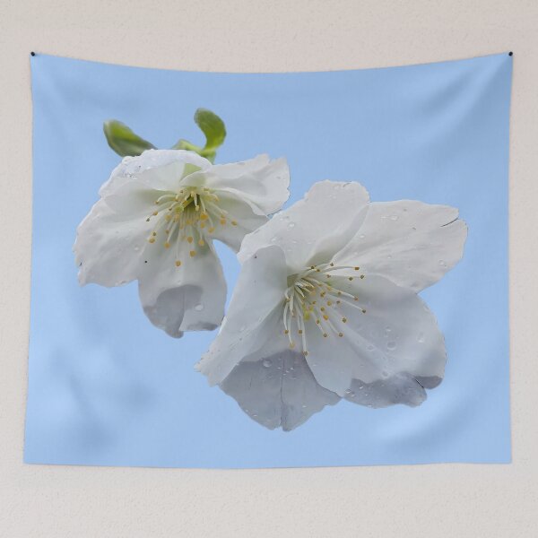 Item preview, Nature Poetry - Rain-Kissed Spring Blossoms designed and sold by Sir Martin.