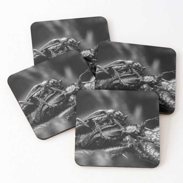 Item preview, Monochrome Encounter — Mating Soldier Beetles designed and sold by Rabee Khalil Photography.