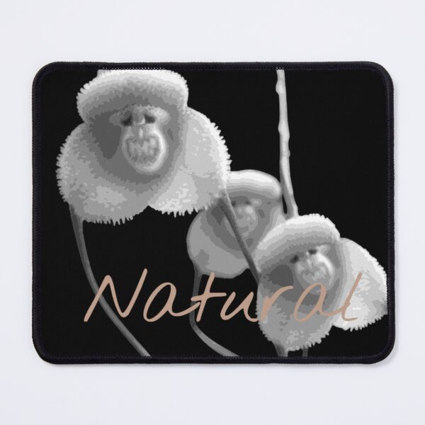 Item preview, Laughter designed and sold by Nu Sigma 1985.