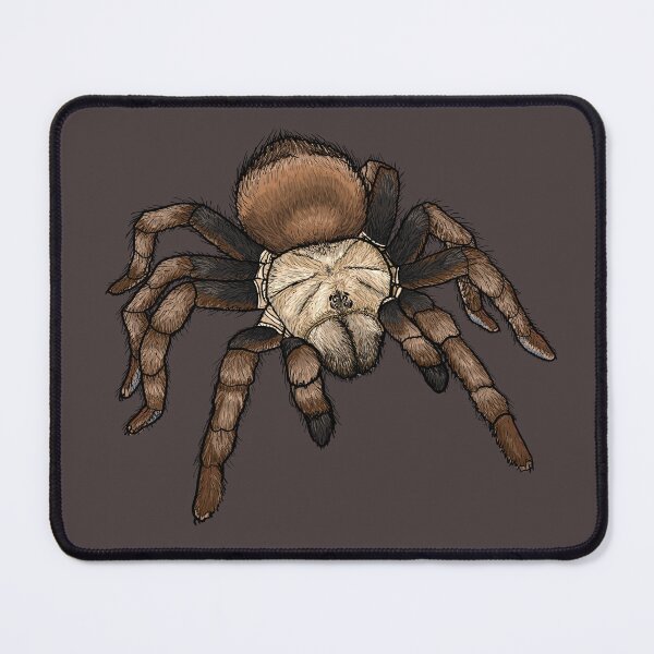 Item preview, Aphonopelma Hentzi Texas Brown Tarantula designed and sold by JoyHappySpiders.