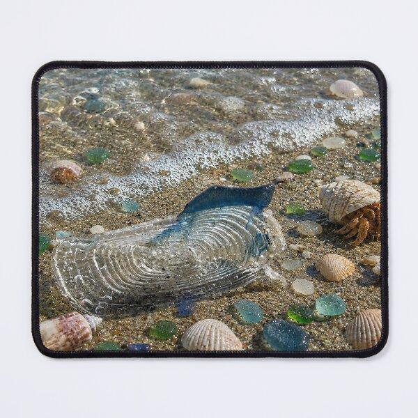 Item preview, Tidepool Treasure designed and sold by Kimberly Palmer.