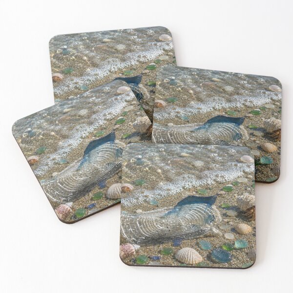 Item preview, Tidepool Treasure designed and sold by Kimberly Palmer.