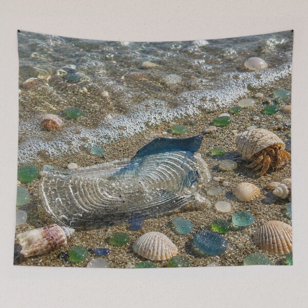 Item preview, Tidepool Treasure designed and sold by Kimberly Palmer.