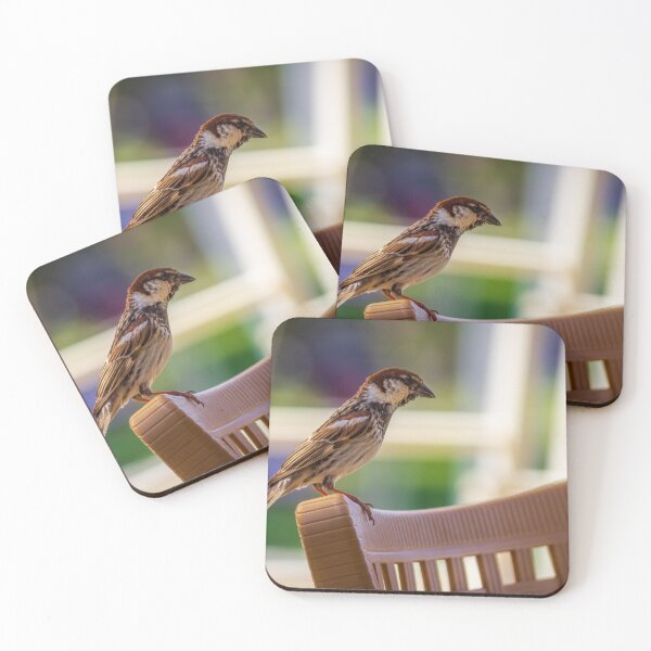 Item preview, House Sparrow Perched On Plastic Chair Back With Soft Bokeh Background, Close-Up Nature Study designed and sold by Nmallia.