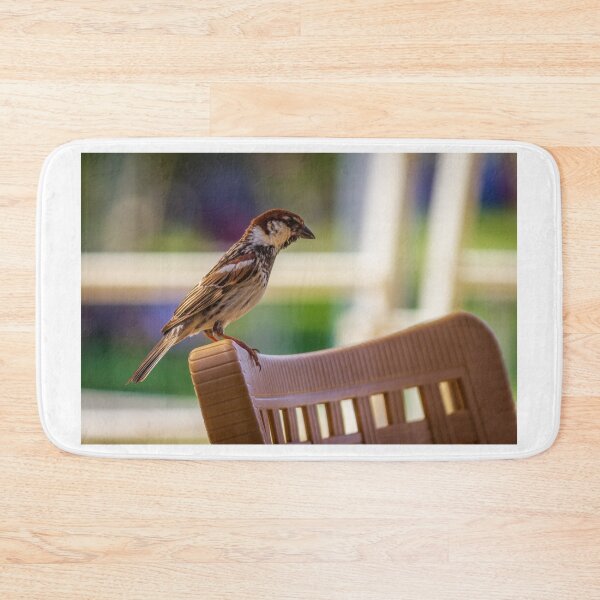 Item preview, House Sparrow Perched On Plastic Chair Back With Soft Bokeh Background, Close-Up Nature Study designed and sold by Nmallia.