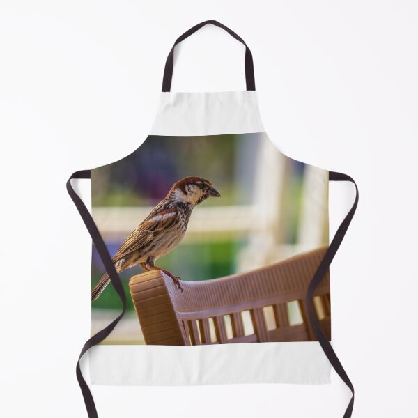 Item preview, House Sparrow Perched On Plastic Chair Back With Soft Bokeh Background, Close-Up Nature Study designed and sold by Nmallia.