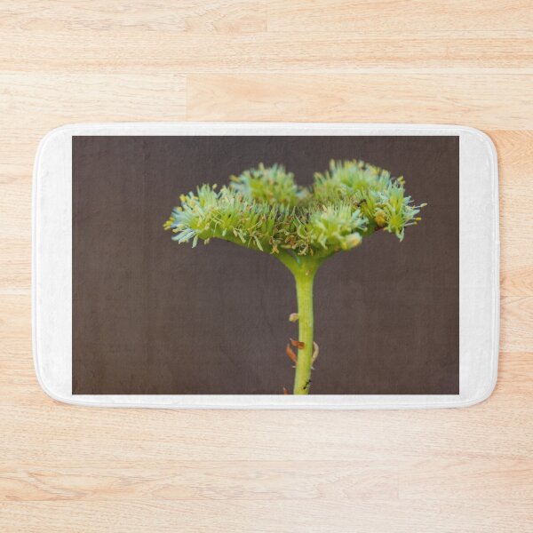 Item preview, Macro Close-Up Of Green Umbel Flower Cluster On Stem With Pollen Against Soft Brown Background designed and sold by Nmallia.
