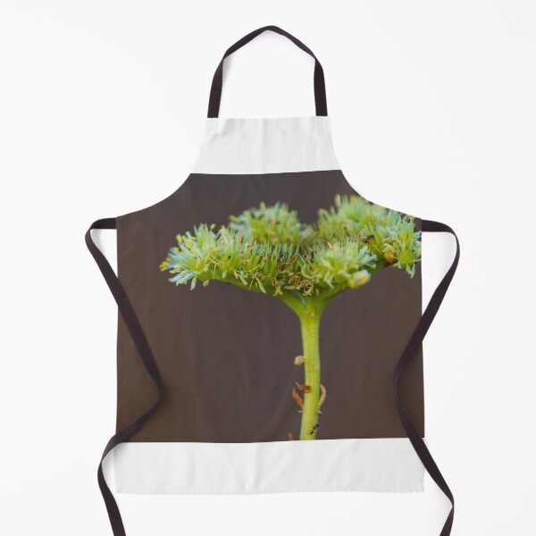 Item preview, Macro Close-Up Of Green Umbel Flower Cluster On Stem With Pollen Against Soft Brown Background designed and sold by Nmallia.