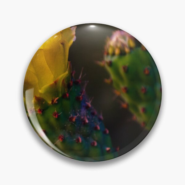 Item preview, Yellow Prickly Pear Cactus Flower Close-Up On Green Opuntia Pad In Soft Desert Light designed and sold by Nmallia.