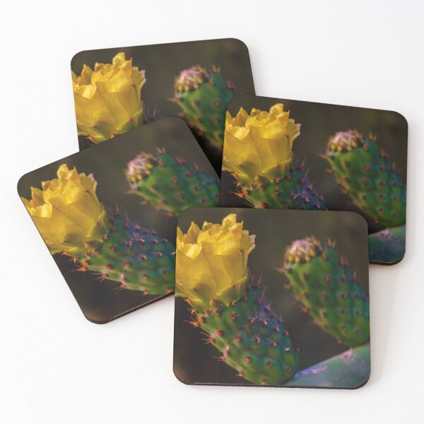 Item preview, Yellow Prickly Pear Cactus Flower Close-Up On Green Opuntia Pad In Soft Desert Light designed and sold by Nmallia.