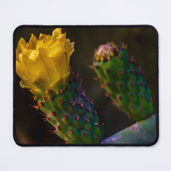 Item preview, Yellow Prickly Pear Cactus Flower Close-Up On Green Opuntia Pad In Soft Desert Light designed and sold by Nmallia.