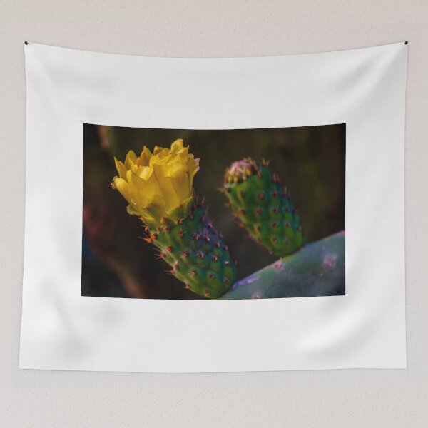 Item preview, Yellow Prickly Pear Cactus Flower Close-Up On Green Opuntia Pad In Soft Desert Light designed and sold by Nmallia.
