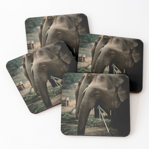 Item preview, Asian Elephants, Northern Thailand designed and sold by Will's Window.