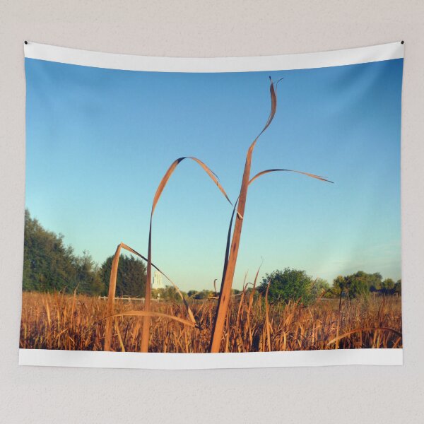 Item preview, Nothing To Lean On designed and sold by AbomProd.
