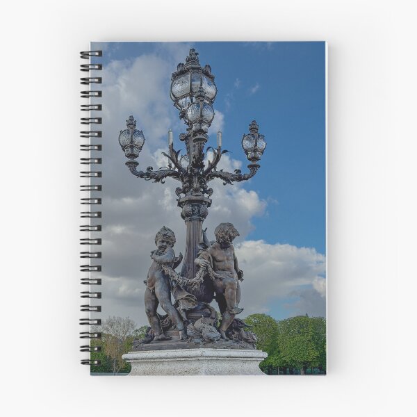 Item preview, An Elegant Light Fixture on the Pont Alexandre III over the river Seine designed and sold by Trevor and Photos.