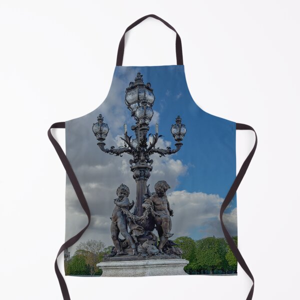 Item preview, An Elegant Light Fixture on the Pont Alexandre III over the river Seine designed and sold by Trevor and Photos.