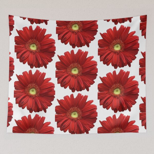 Item preview, Vibrant Red Gerbera Daisy Isolated on White Background designed and sold by BalkanBloom.