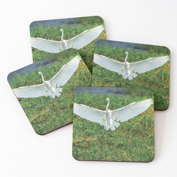 Item preview, Landing Gear Down designed and sold by Kay Brewer.