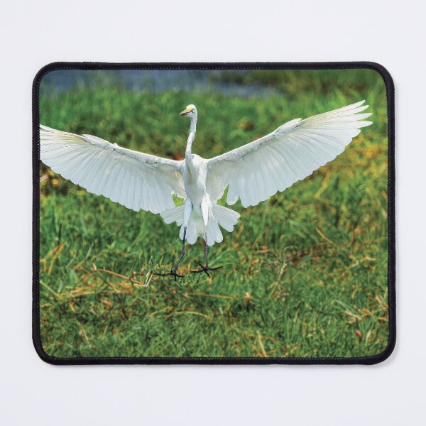 Item preview, Landing Gear Down designed and sold by Kay Brewer.