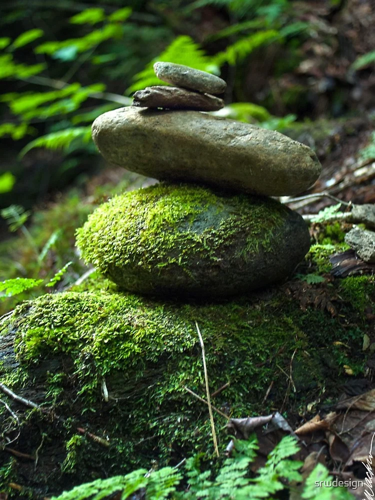 Thumbnail 4 of 4, iPhone Case, Balancing Rocks designed and sold by srwdesign.