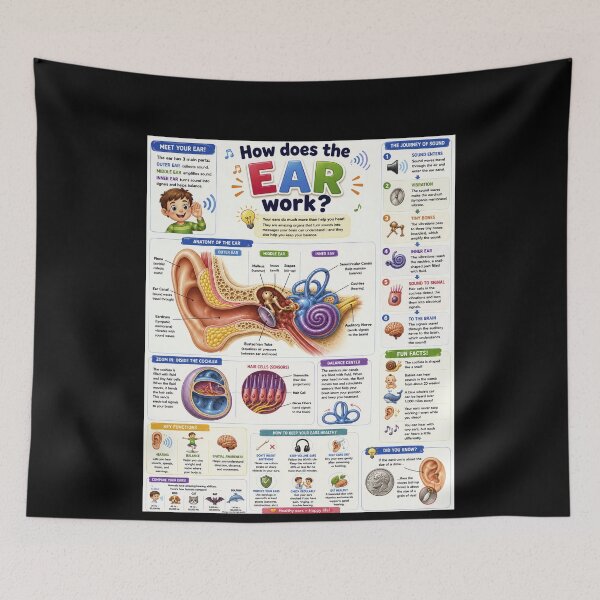 Item preview, How Does The Ear Work Human Anatomy Education Teacher Student Medical Biology designed and sold by yassin-stags.