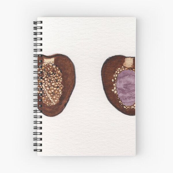 Item preview, Two cowrie shells on a white background. designed and sold by KPierceArt.