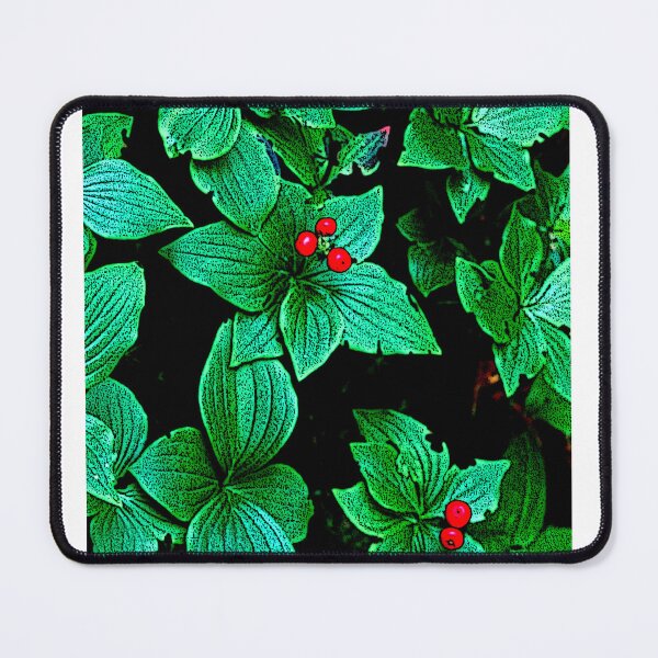 Item preview, Bunchberry Plant, Leaves, Berries, Cornus canadensis, Digital Illustration designed and sold by AMacGPhilly.