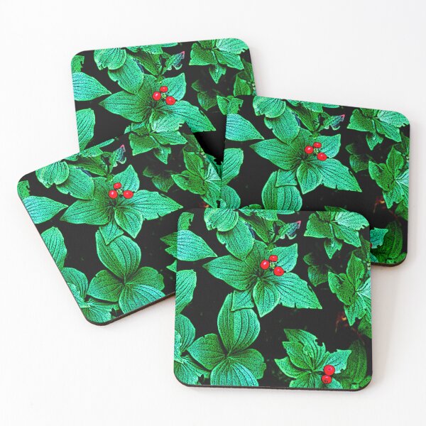 Item preview, Bunchberry Plant, Leaves, Berries, Cornus canadensis, Digital Illustration designed and sold by AMacGPhilly.