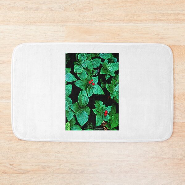 Item preview, Bunchberry Plant, Leaves, Berries, Cornus canadensis, Digital Illustration designed and sold by AMacGPhilly.