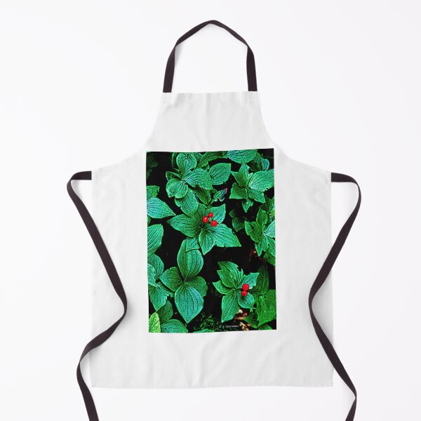 Item preview, Bunchberry Plant, Leaves, Berries, Cornus canadensis, Digital Illustration designed and sold by AMacGPhilly.