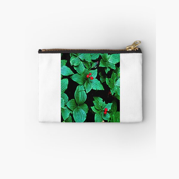 Item preview, Bunchberry Plant, Leaves, Berries, Cornus canadensis, Digital Illustration designed and sold by AMacGPhilly.