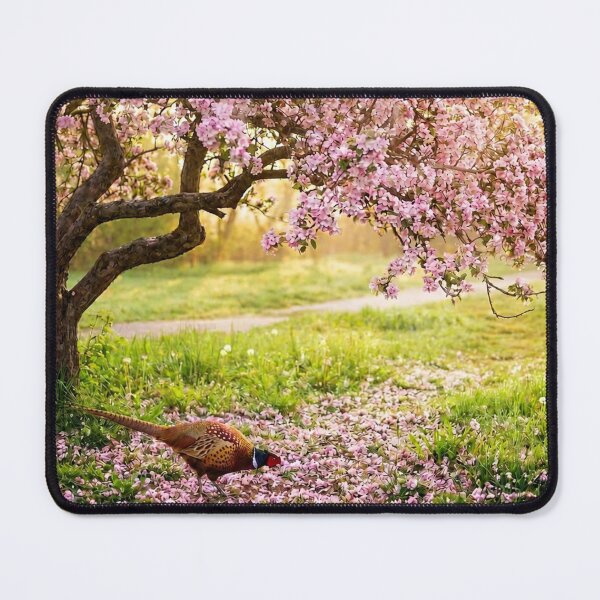 Item preview, Apple blossom season designed and sold by missmoneypenny.