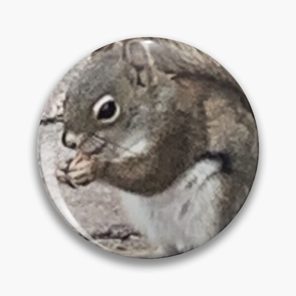 Item preview, Nuts designed and sold by LightOfTheDream.