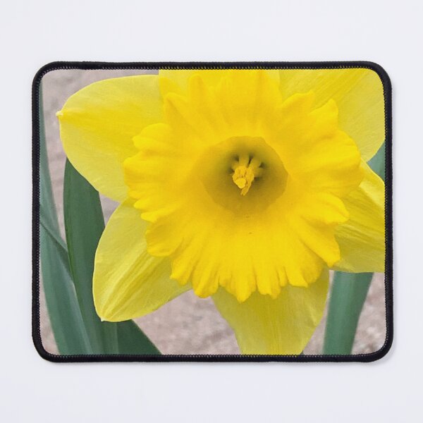 Item preview, Sunshine  designed and sold by LightOfTheDream.