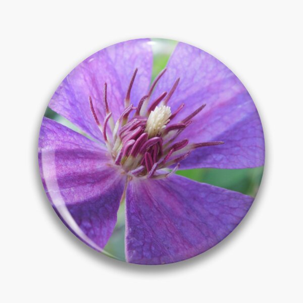 Item preview, Clematis  designed and sold by PueoVisions.