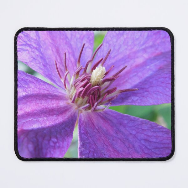 Item preview, Clematis  designed and sold by PueoVisions.
