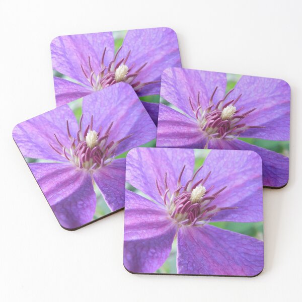 Item preview, Clematis  designed and sold by PueoVisions.