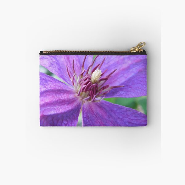 Item preview, Clematis  designed and sold by PueoVisions.