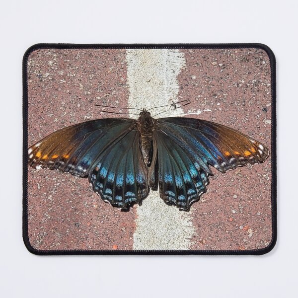 Item preview, Just a beautiful butterfly designed and sold by JessHasNoFilter.