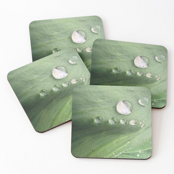 Item preview, Nature Photo of a Green Leaf with water drops designed and sold by DenaHaines.