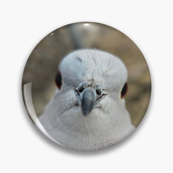 Item preview, European Dove  designed and sold by WillsFleshArt.
