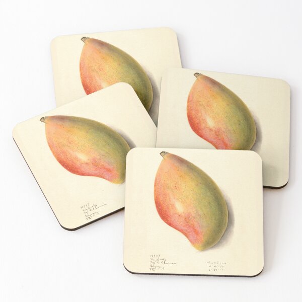 Item preview, Mangifera indica Mango Botanical Illustration designed and sold by Glimmersmith.