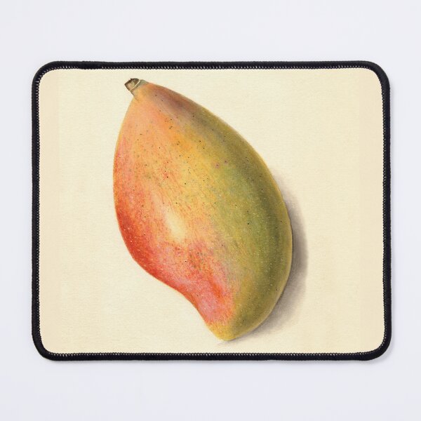 Item preview, Mangifera indica Mango Botanical Illustration designed and sold by Glimmersmith.