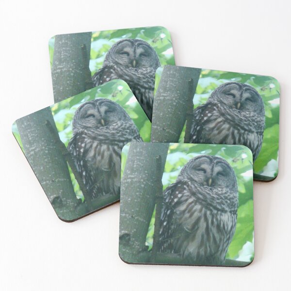 Item preview, Smiling barred owl  designed and sold by KyraMackenzie.