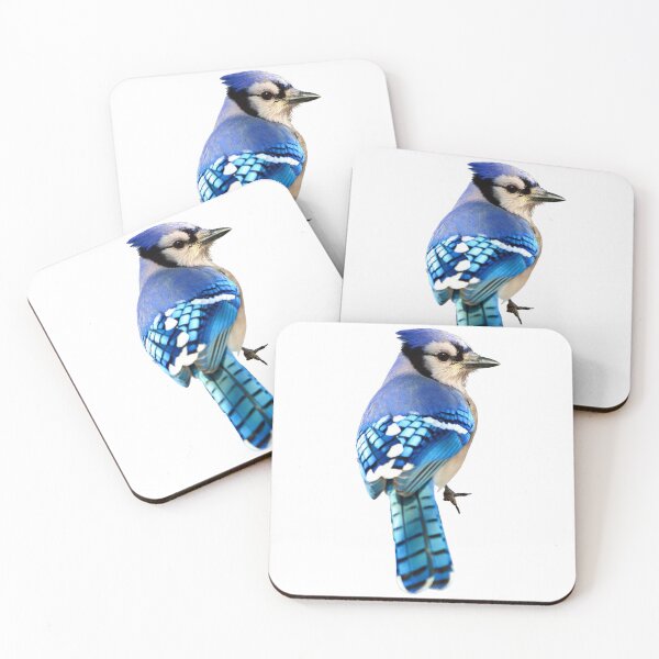Item preview, Blue Jay designed and sold by kyra0nicole.