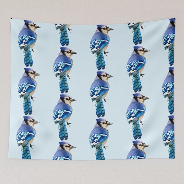 Item preview, Blue Jay designed and sold by kyra0nicole.